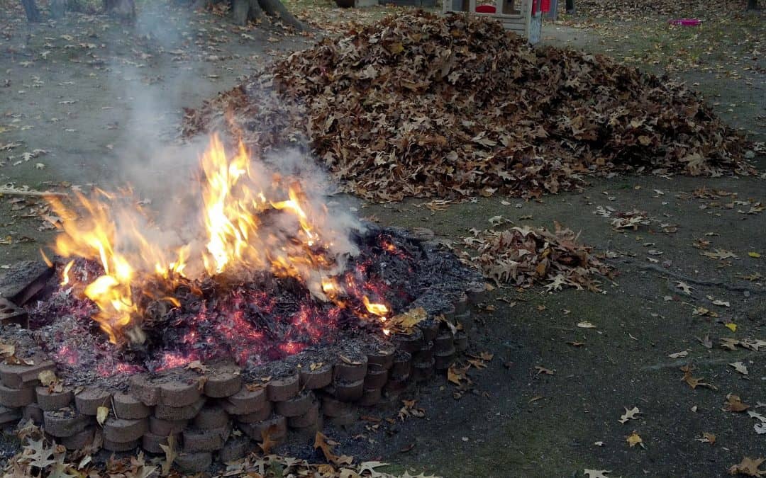 Palenie liści i gałęzi – przepisy