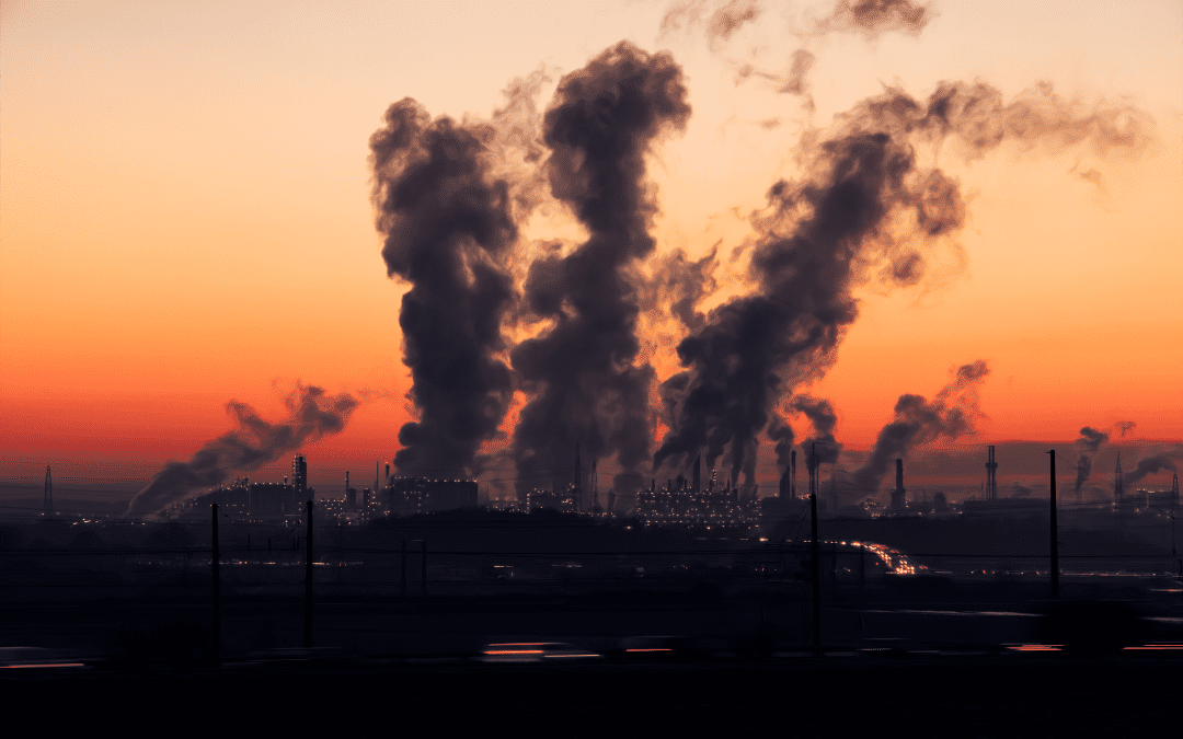 Zabójczy smog. Jak sobie z nim poradzić?